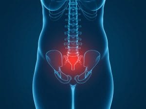New BMJ Guidance Helps Kent Clinicians Spot Pregnancy-Related Pelvic Pain