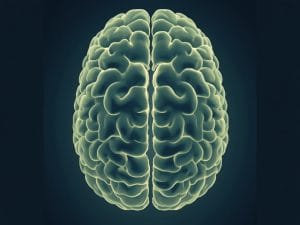 Medical Journal Shares Rare Brain Condition Images to Help Doctors Spot Warning Signs