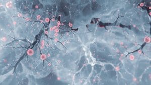 Rare Brain Infection Case Highlights Syphilis Complications in Medical Journal