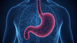 New Cancer Drug Shows Promise for Stomach and Gullet Tumours