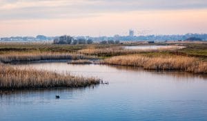 What's Really Happening to Kent's Rivers, Beaches and Water Bills