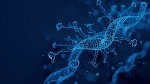 New Pancreatic Cancer Drug Trial Results Published in Leading Medical Journal