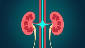 New Kidney Disease Treatment Shows Promise in Major Clinical Trial