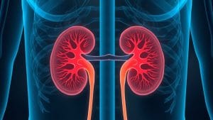 New Kidney Disease Treatment Shows Promise in Major Clinical Trial
