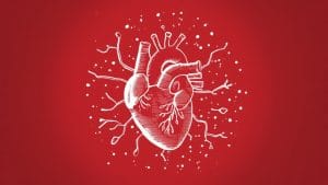 Heart Device Shows Promise Over Blood Thinners in Major Trial