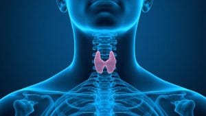 Thyroid Cancer Treatment Guidelines: What a New Medical Review Means for Patients