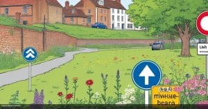 Canterbury’s wildflower meadow by the city wall will be cut to reduce fire risk and prepare for 2027