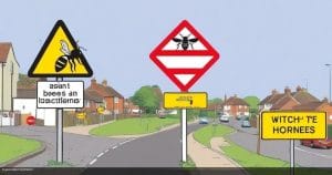 Folkestone & Hythe Council warns residents to watch for Asian hornets that prey on bees
