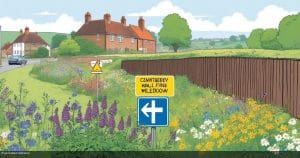 Canterbury’s city wall wildflower meadow to be cut over fire risk