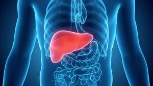 Rare Immune Disease Enters Remission After Accidental Splenic Rupture, Study Finds