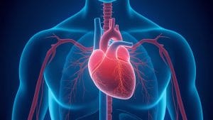 ALL-RISE Trial Examines Two Approaches to Assessing Blocked Heart Arteries