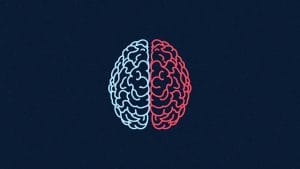 When the Brain Feels Slower Than the Test Says: Understanding Shrinking Cognitive Bandwidth