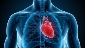 New Research Compares Two Methods for Assessing Blocked Heart Arteries in Patients with Borderline Coronary Disease