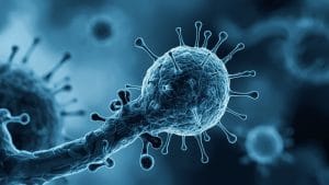 Stem Cell Trial for Parkinson's Disease Shows Promising Early Safety Results, Researchers Report