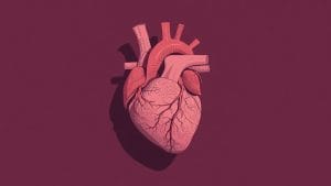 Unusual Heart Case Published in Leading Medical Journal