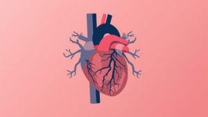 Longer Dual Blood-Thinning Treatment Cuts Heart Risk After Stenting, Trial Finds