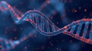 Gene Therapy for Inherited Deafness Shows Safety and Promise, Study Finds