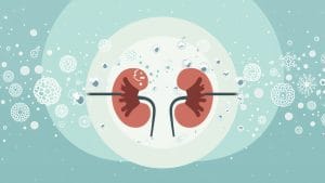 Kidney Stone Infection Led to Brain Abscess, Case Study Finds