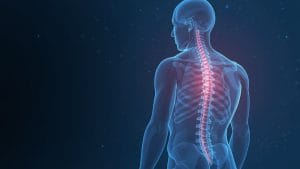 Stem Cell Treatment for Spinal Cord Injury Passes First Human Safety Trial