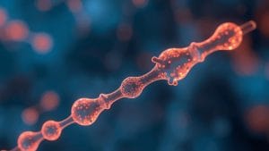Alzheimer's Drug Research: Early Signs for Safer Amyloid-Clearing Treatment