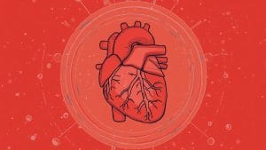 Heart Failure Case Raises Awareness of Rare Liver Sign