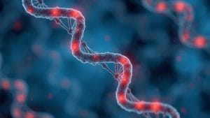 Gene Therapy for Huntington's Disease Shows Lasting Effect, Though Benefit Appears to Ease Over Time
